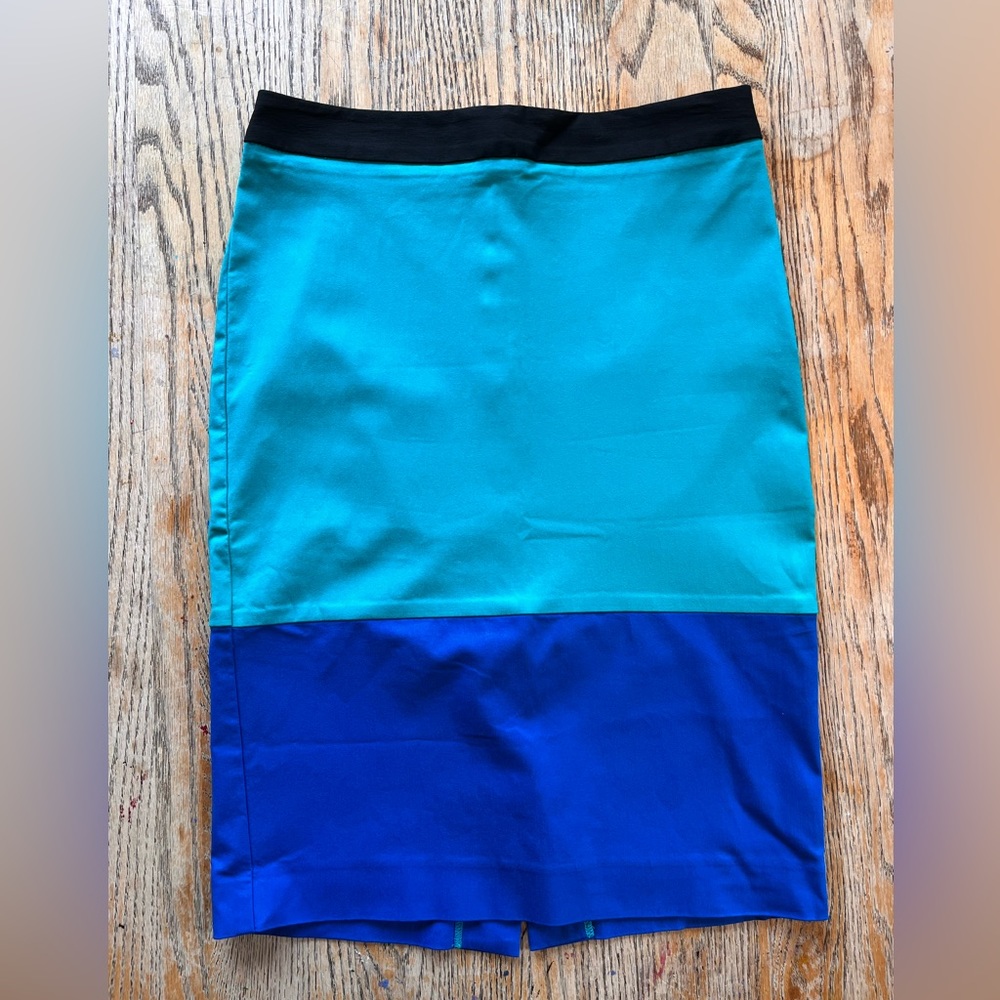 The Limited Exact Stretch Color-Block Skirt (Size 4)